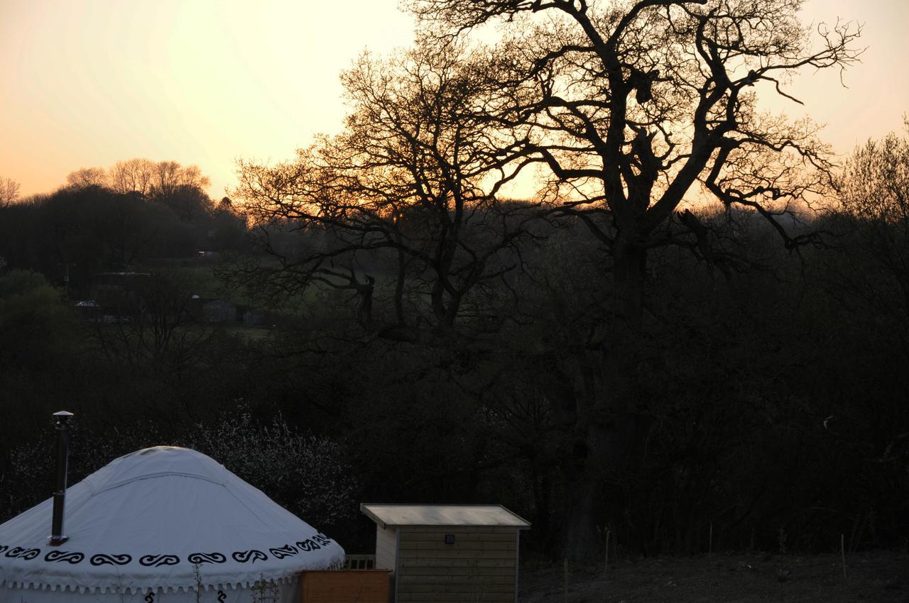 Glamping On The Hill Hotel Mells Exterior foto